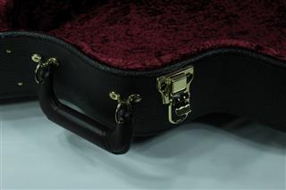 TAYLOR GUITARS 214CE DLX